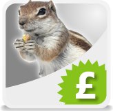 Special Offer: Website for Peanuts! Special Offer: Website for Peanuts!